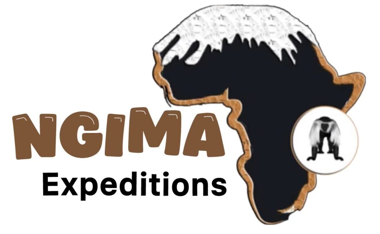Kilimanjaro Specialist & Safari Experts